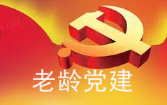 老龄党建